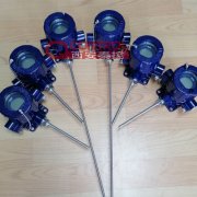 带显示威卡一体化温度变送器TR12-M